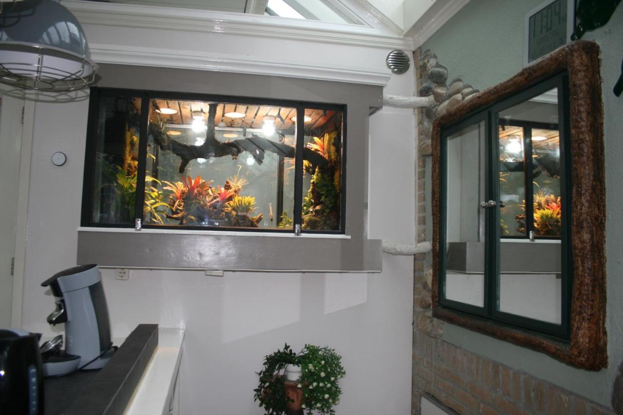 The Butterfly Luxe Appartement Met Private Parking Zandvoort Esterno foto